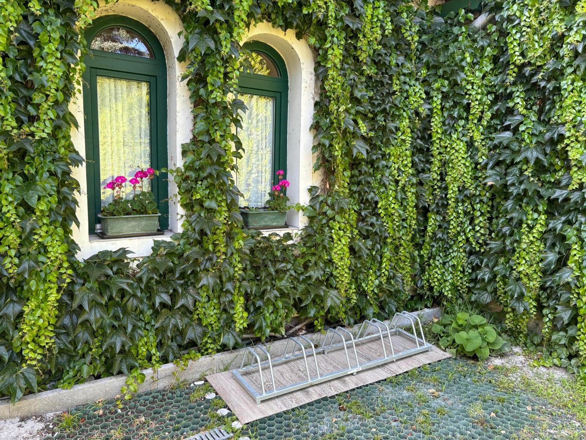 Szalay Villa Veszprem Ngoại thất bức ảnh