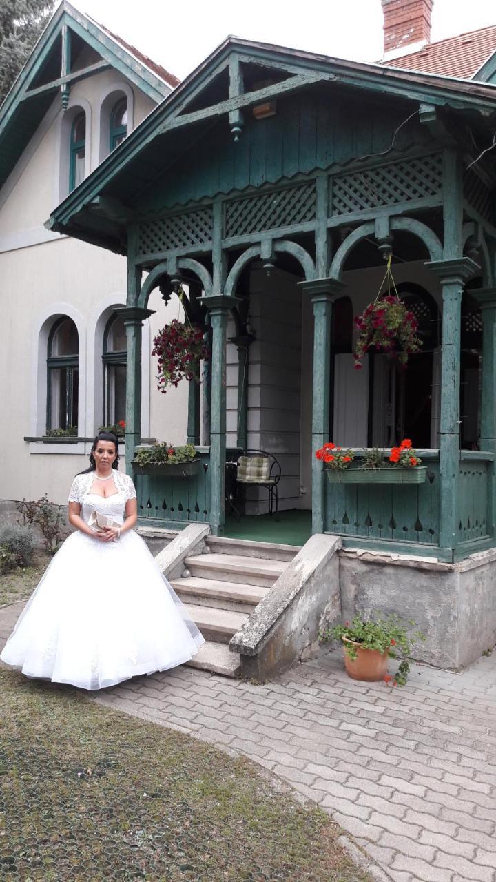 Szalay Villa Veszprem Ngoại thất bức ảnh